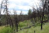 nhn Deer Lane - Photo 17