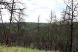 nhn Deer Lane - Photo 18