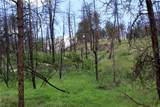 nhn Deer Lane - Photo 19
