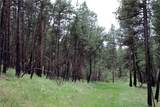 nhn Deer Lane - Photo 2