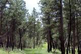 nhn Deer Lane - Photo 20