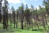 nhn Deer Lane - Photo 21
