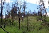 nhn Deer Lane - Photo 22
