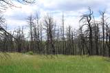 nhn Deer Lane - Photo 24