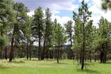 nhn Deer Lane - Photo 25