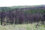 nhn Deer Lane - Photo 26