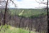 nhn Deer Lane - Photo 28