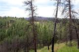 nhn Deer Lane - Photo 29