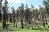 nhn Deer Lane - Photo 3