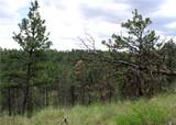 nhn Deer Lane - Photo 31