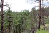 nhn Deer Lane - Photo 32