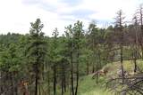 nhn Deer Lane - Photo 33