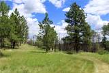 nhn Deer Lane - Photo 35