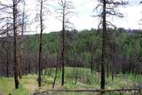 nhn Deer Lane - Photo 5