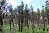 nhn Deer Lane - Photo 6