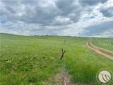 15.9 Ac Buck Creek Road - Photo 6
