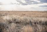 TBD Elbow Creek Road - Photo 21