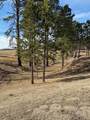 23 Mule Deer Lane - Photo 11