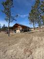 23 Mule Deer Lane - Photo 13