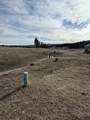 23 Mule Deer Lane - Photo 8