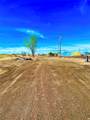 0 4th Avenue - Photo 6