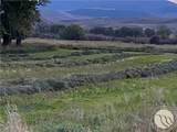 263 Bovine Way - Photo 4