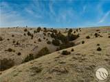 TBD Horseshoe Gulch Road - Photo 11