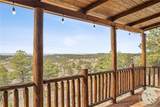 2168 Trophy Ridge - Photo 11
