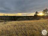 2168 Trophy Ridge - Photo 29