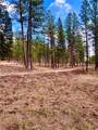 21481 Nine Mile Road - Photo 12