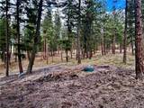 21481 Nine Mile Road - Photo 31