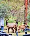 21481 Nine Mile Road - Photo 33