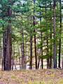21481 Nine Mile Road - Photo 8