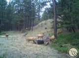 2786 79 Trail Road - Photo 23