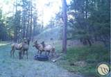 2786 79 Trail Road - Photo 24