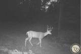 2786 79 Trail Road - Photo 25