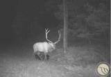 2786 79 Trail Road - Photo 5