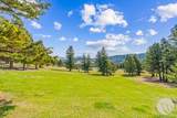 7 Eagle Trail - Photo 7