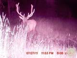 95 Little Moose Creek - Photo 37