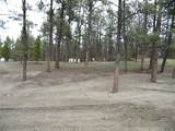 482 Number 4 Road - Photo 15