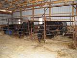 482 Number 4 Road - Photo 19
