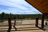 22 Whitetail Lane - Photo 11