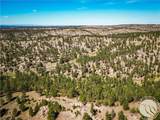 4221 Us Highway 87 - Photo 46