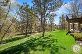 4239 Long Rider Trail - Photo 37