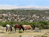517 Deadman Creek Road - Photo 47
