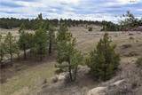 5750 Pleasant Hollow Trail - Photo 42