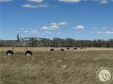 389 Number 4 Road - Photo 19