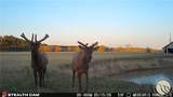389 Number 4 Road - Photo 40