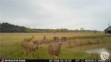 389 Number 4 Road - Photo 41