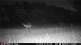 389 Number 4 Road - Photo 42
